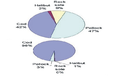Graph of changes in catch composition with and without a halibut excluder