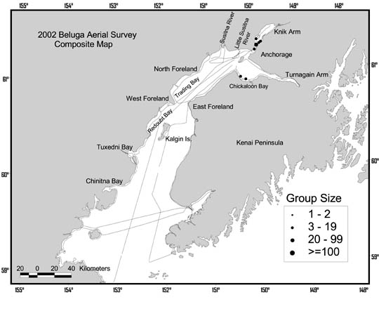 Map showing aerial aerial survey of belugas in Cook Inlet, see text for explanation