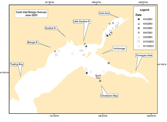 map of Cook Inlet beluga sightings