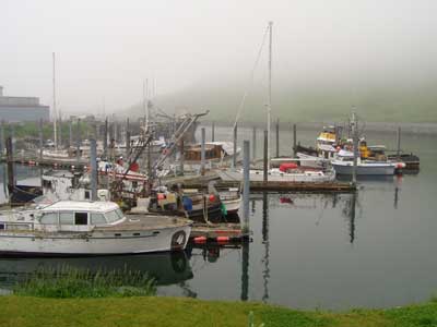 A photo of the small boat harbor of Dutch Harbor, Alaska.