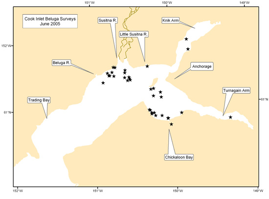 map of beluga sightings