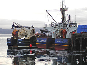 F/V Sea Storm and F/V Gladiator trawlers