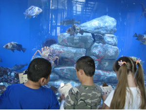 new TSMRI aquarium