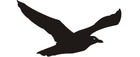 bird logo (5194 bytes)