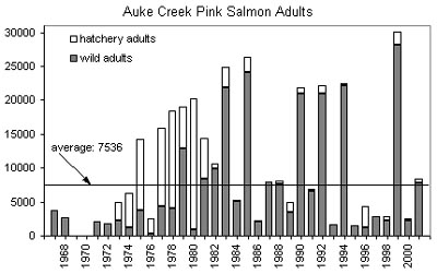 chart of Auke Creek wild and hatchery pink salmon