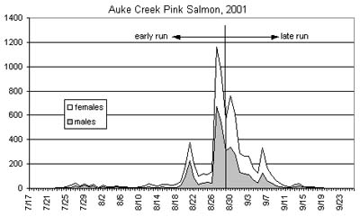 chart of Auke Creek upstream pink salmon