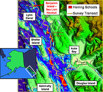 Map of herring schools