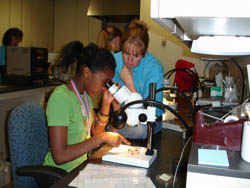 photo from the NOAA Science Camp