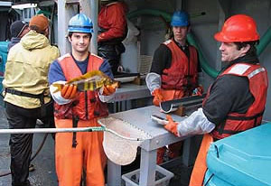 FIT crew with atka mackerel