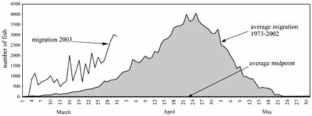 see figure caption for explanation.