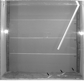 Figure 8. experimental thermocline sea water tank