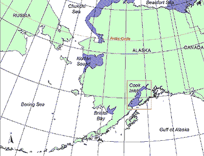 chart of summer Alaska beluga whale distribution