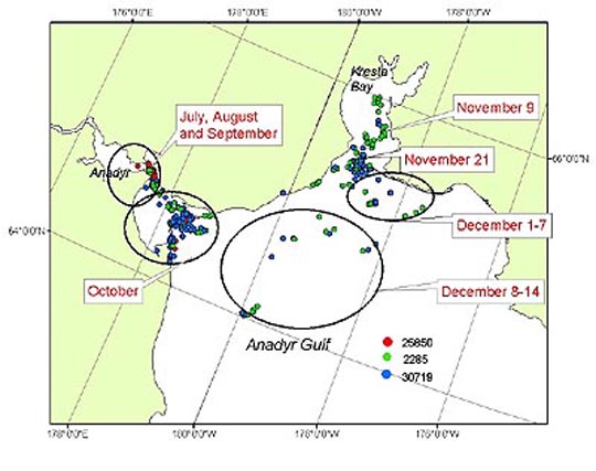 map of beluga whale locationsin Anadyr Bay