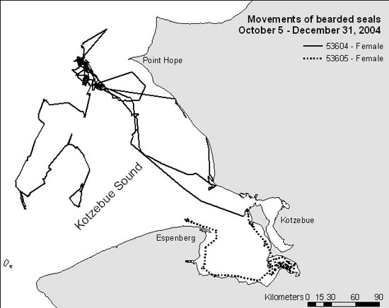 Map of bearded seal movements