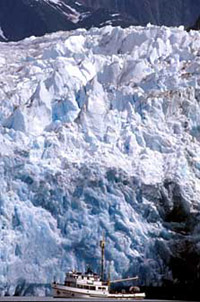 NOAA vessel John N Cobb in front of glacier (38407 bytes)
