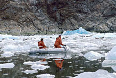 scientists in zodiak approach seals hauled out on glacial ice