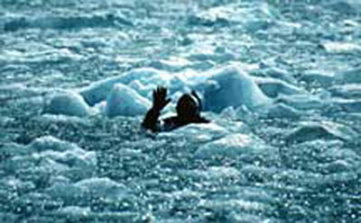 photo of diver in water surrounded by glacial ice (45458 bytes)
