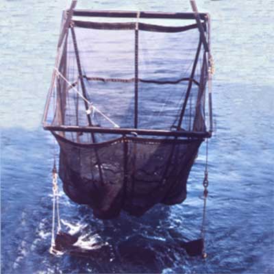 Photograph of Methot trawl