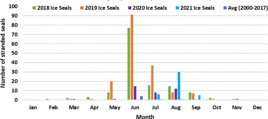 image Figure 9: Number of confirmed ice seal strandings in Alaska by month.